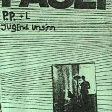 Jugend Unsinn by Fauli - album cover
