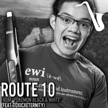 Route 10 (From "Pokémon Black & White")