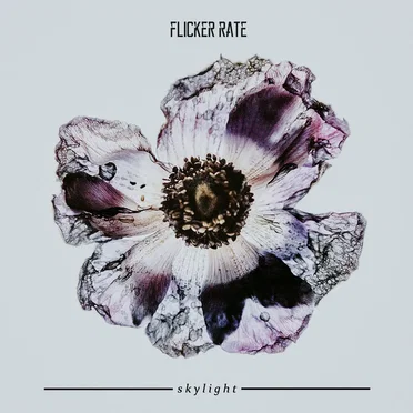 Skylight EP by Flicker Rate - album cover