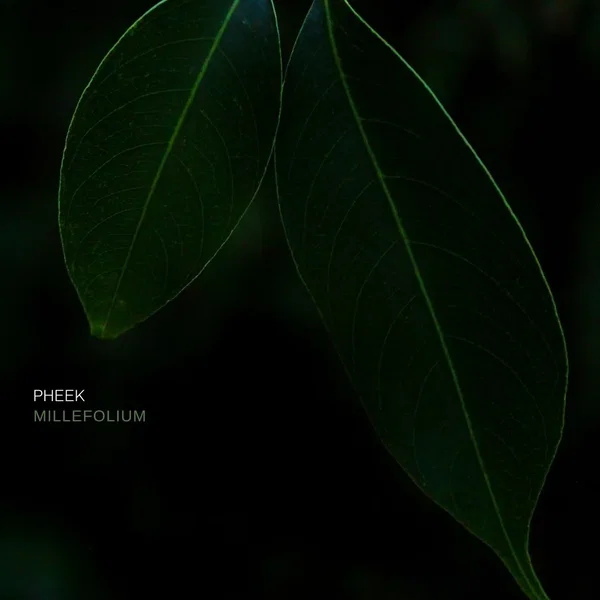 Millefolium