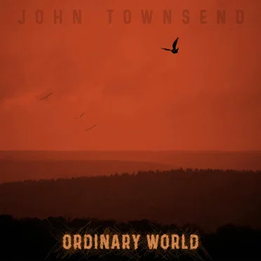 Ordinary World