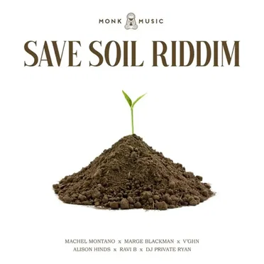Save Soil Riddim by DJ Private Ryan - album cover