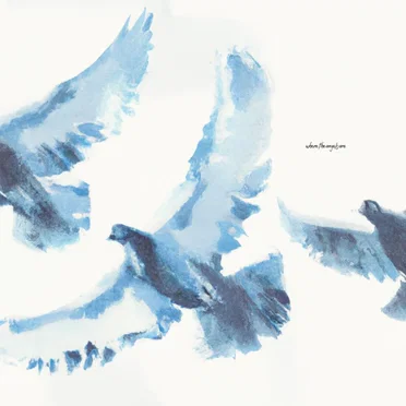 Where the Angels Are