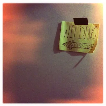 Wilding by Wilding - album cover