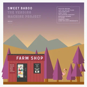 The Vending Machine Project by Sweet Baboo - album cover