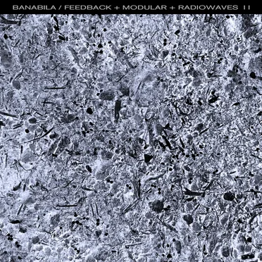 Feedback + Modular + Radiowaves II
