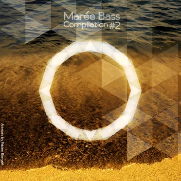 Marée BASS Compilation #2 by Various Artists - album cover