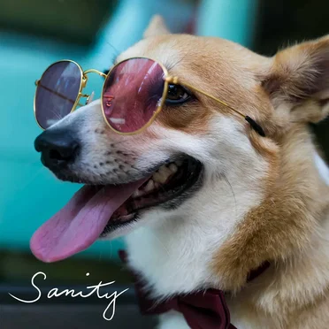 Sanity by Lola Amour - album cover