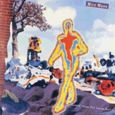 Cookin' From The Inside Out!!! by Mico Wave - album cover