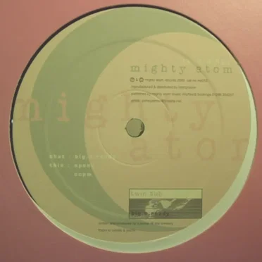 Big 'n' Ready / Inc. Spent / CCPM by Twin Tub - album cover