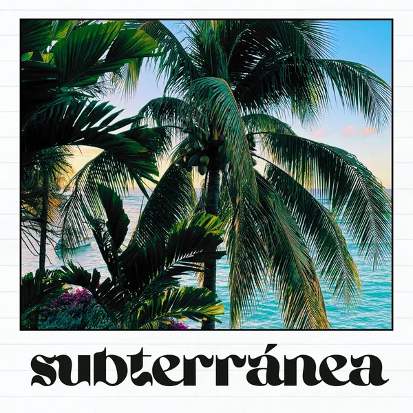 SUBTERRÁNEA