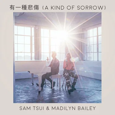 有一種悲傷