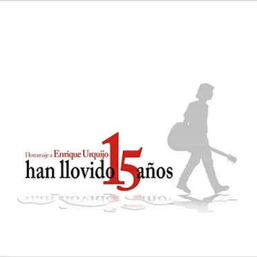 Han llovido 15 años by Various Artists - album cover