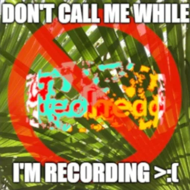 DON’T CALL ME WHILE I’M RECORDING >:(
