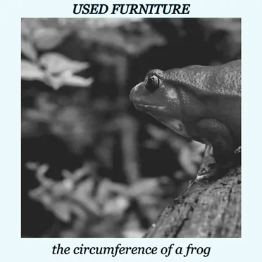 The Circumference of a Frog by Used Furniture - album cover