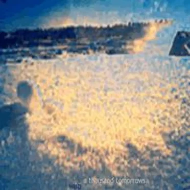 A Thousand Tomorrows
