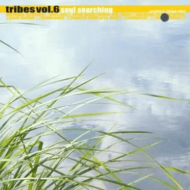 Tribes Vol. 6: Soul Searching by Various Artists - album cover