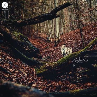 Holan Remixed by Dleeb - album cover