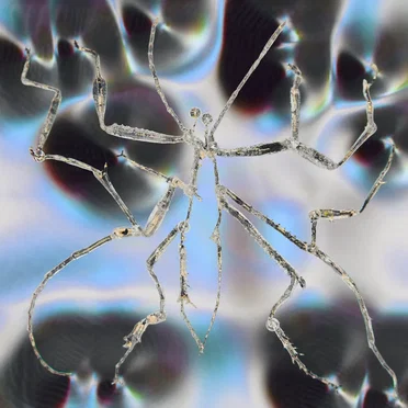Surface Tension by aircode - album cover