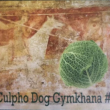 Culpho Dog Gymkhana #1 by Culpho Dog Gymkhana - album cover