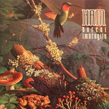 Boreal Imbroglio by HAM - album cover