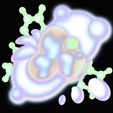 embryo