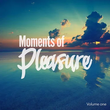 Moments of Pleasure, Vol. 1 (Jazzy & Smooth Chill Out Tunes) by Various Artists - album cover