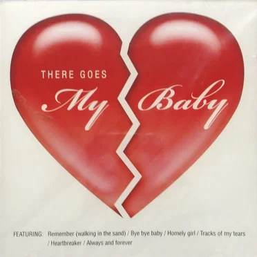 There Goes My Baby by Various Artists - album cover
