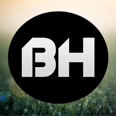 Delusion by BH - album cover