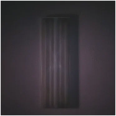 Tractrix ζ