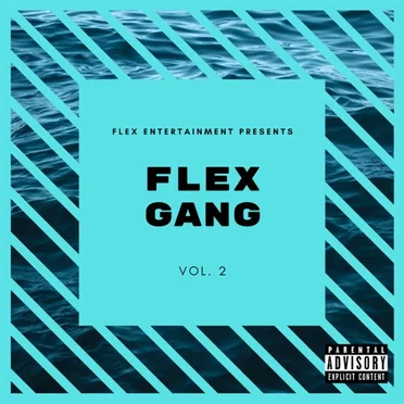 Flex Gang, Vol. 2 by Various Artists - album cover