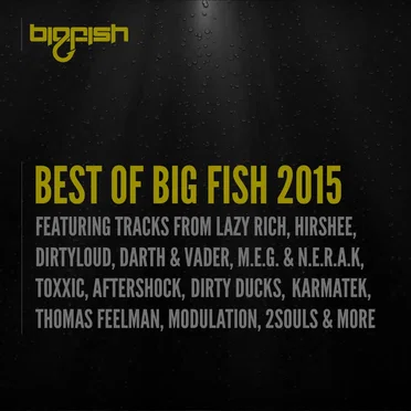 Best of Big Fish 2015 by Various Artists - album cover