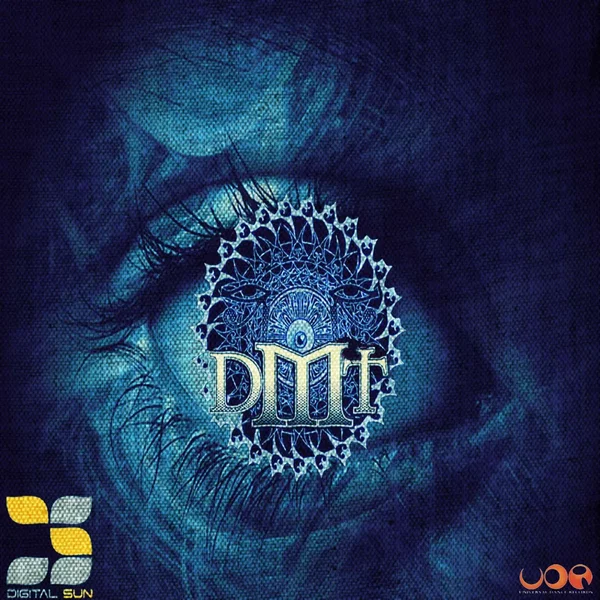 DMT Experience