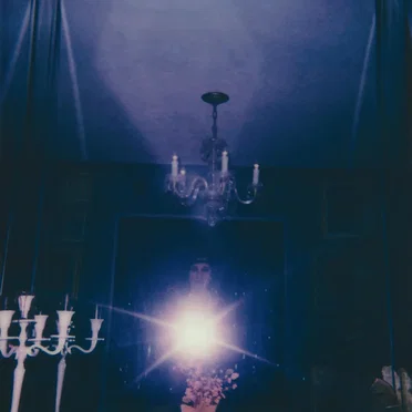 we might be dead, we might be flowers by They Drove Us From the Garden - album cover