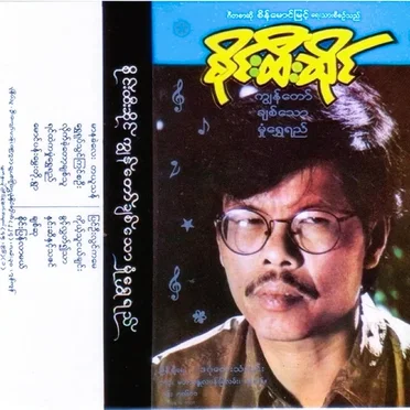 ကျွန်တော်ချစ်သော မှုံရွှေရည်