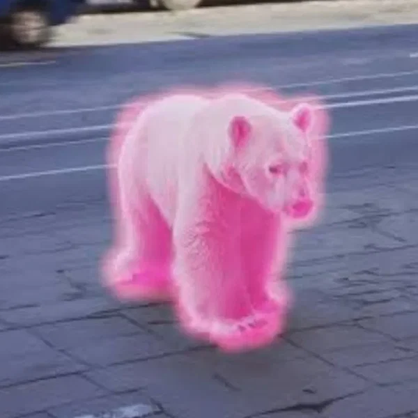 Xtrapolar