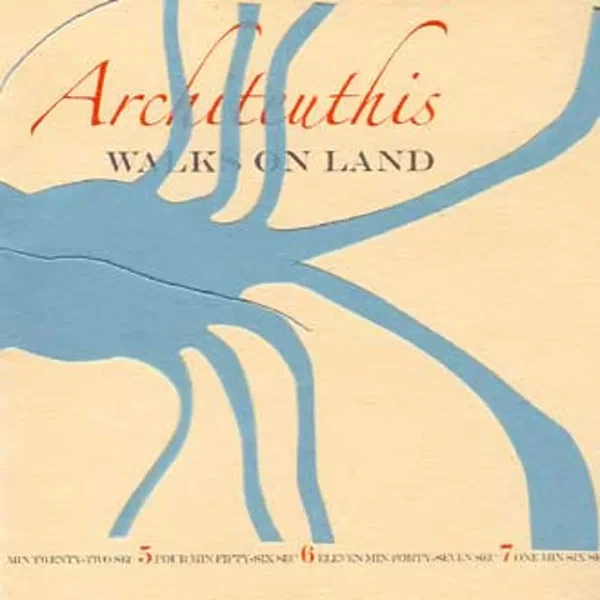Architeuthis Walks on Land