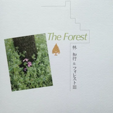 The Forest