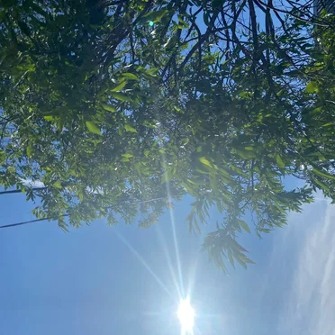 blue summer