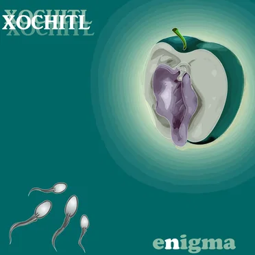 Enigma by Xochitl - album cover