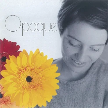 Opaque by The Ruby Set - album cover