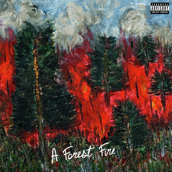 A Forest Fire