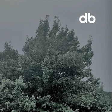 db