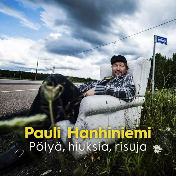 Pölyä, hiuksia, risuja