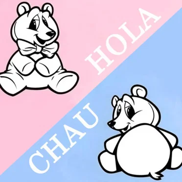 Hola/Chau