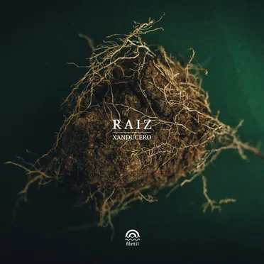 Raíz
