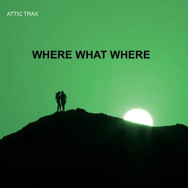 Where What Where