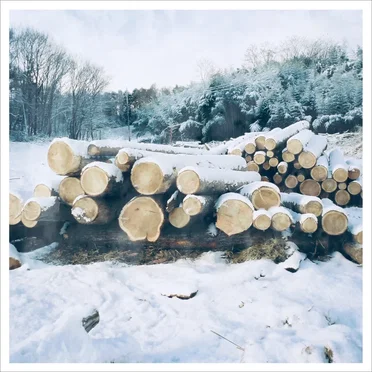 Log.