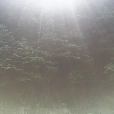 Shinpeki (A Bond for Qoosui)