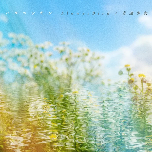 FlowerBird / 音速少女